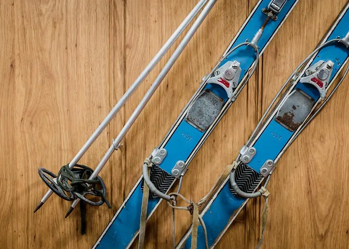 מלון Mont Blanc סיירה נבדה